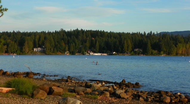 Summer visiters and sunsets at lake 028 (640x480).jpg